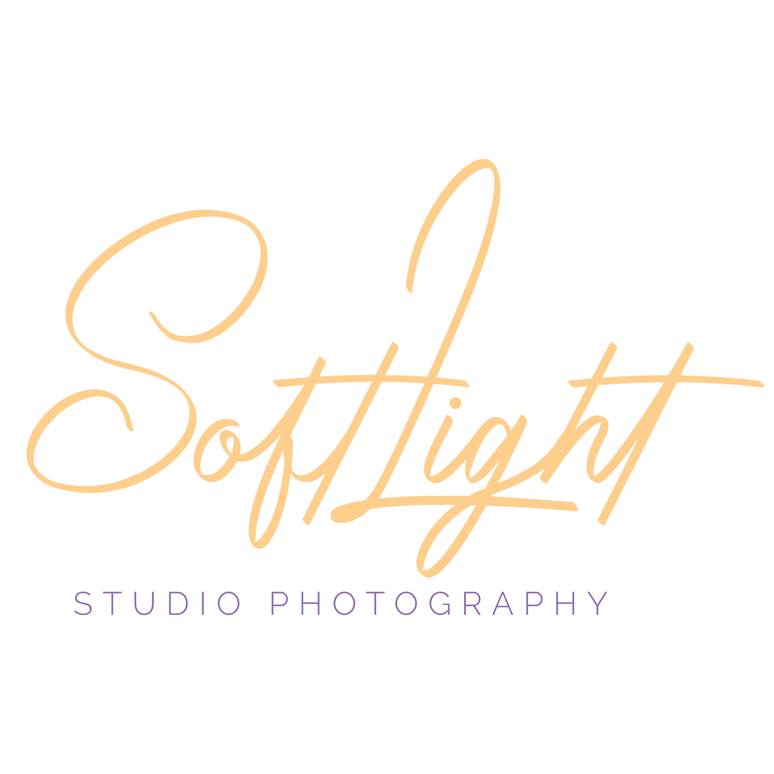 Studio Soft Light